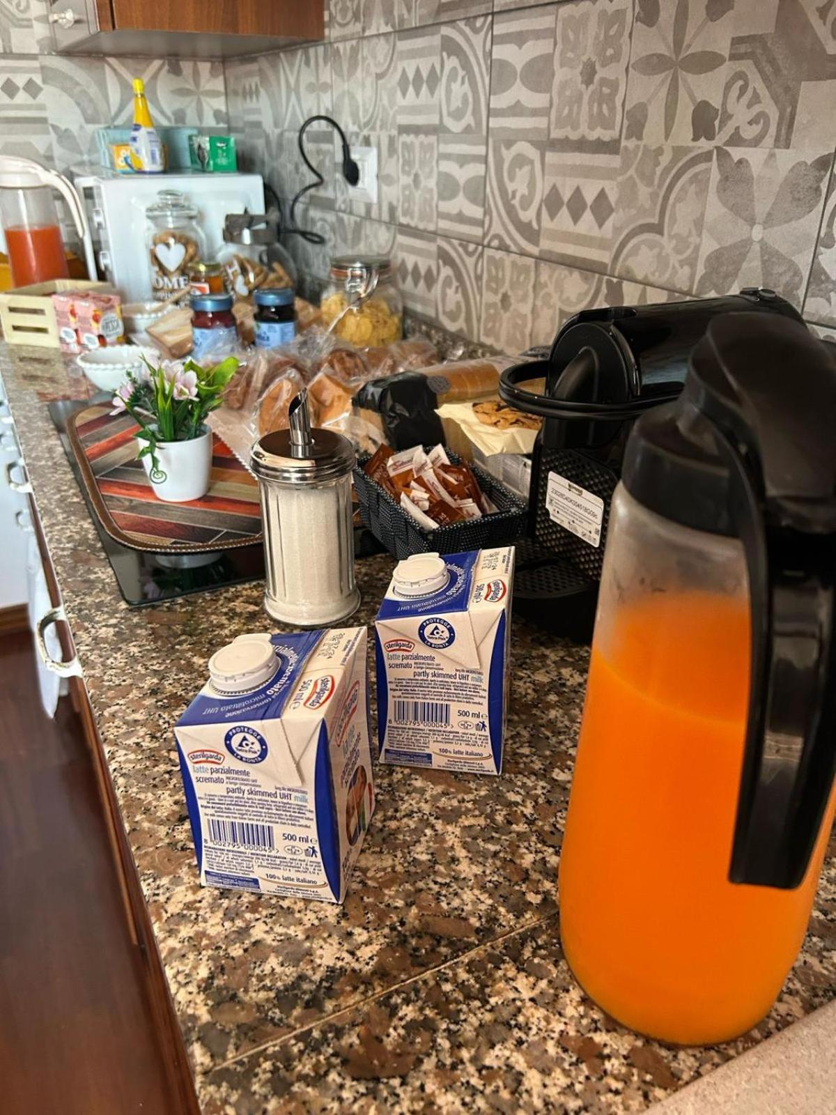I 4 Mori Bed & Breakfast Fiumicino Bagian luar foto